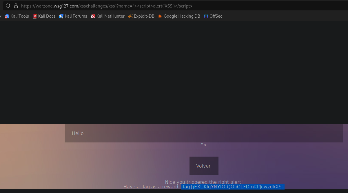xss1